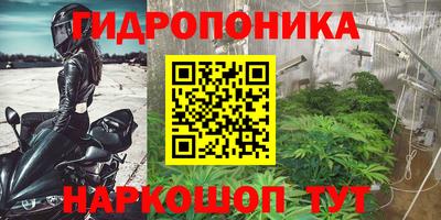 ГАЛЛЮЦИНОГЕННЫЕ ГРИБЫ Донской