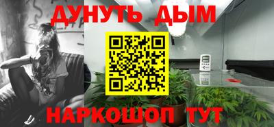 a pvp Дубна