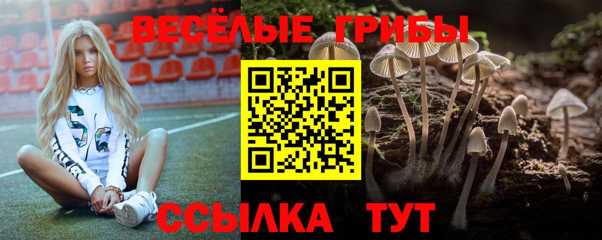 Псилоцибиновые грибы прущие грибы  Вход с VPN  Усть-Джегута  Псилоцибиновые грибы Psilocybe 